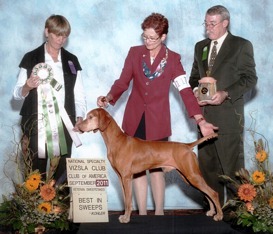 Gateway 2024 vizsla club